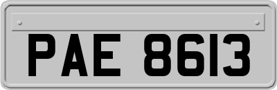 PAE8613