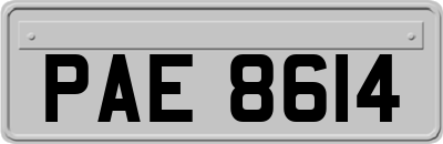 PAE8614