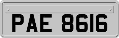 PAE8616