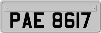 PAE8617