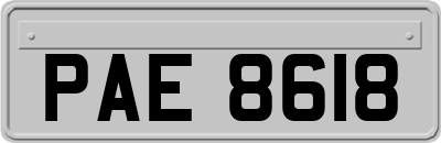PAE8618