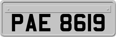 PAE8619