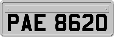 PAE8620