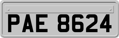 PAE8624