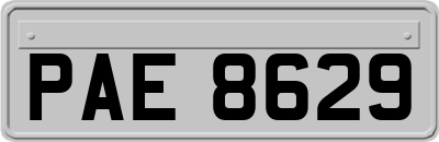 PAE8629