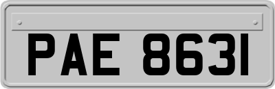 PAE8631