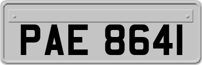 PAE8641