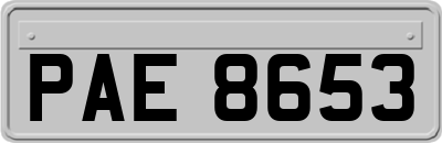 PAE8653