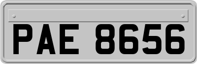 PAE8656