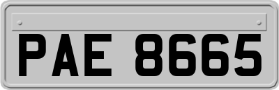 PAE8665