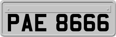 PAE8666