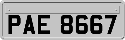 PAE8667