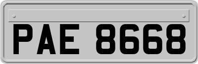 PAE8668