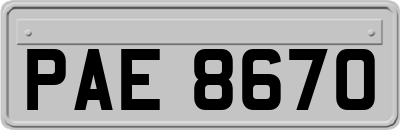 PAE8670