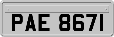 PAE8671