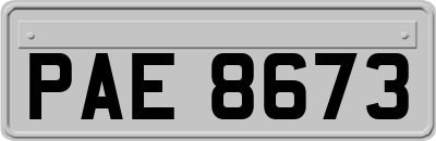 PAE8673