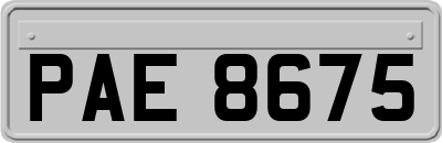 PAE8675