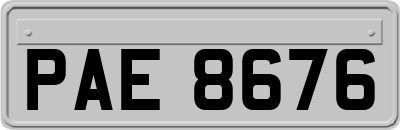 PAE8676