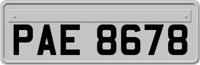 PAE8678