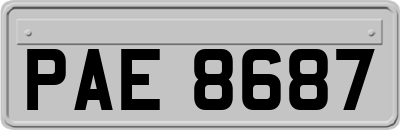 PAE8687