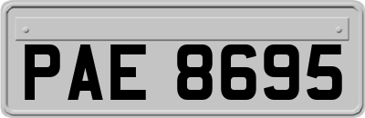 PAE8695