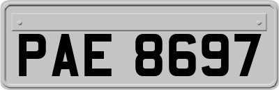 PAE8697