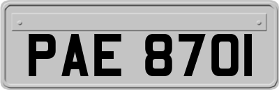 PAE8701