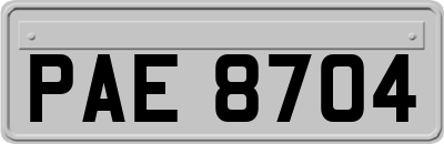 PAE8704