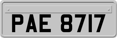 PAE8717