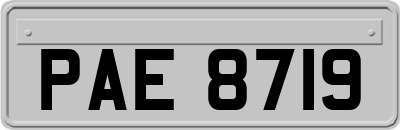 PAE8719