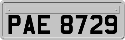 PAE8729