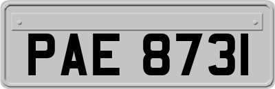 PAE8731