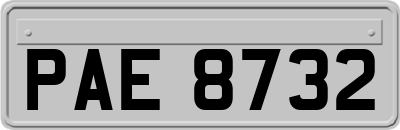 PAE8732
