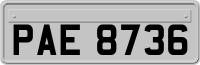PAE8736