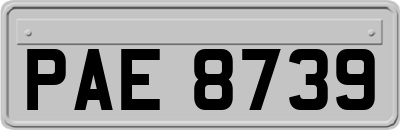 PAE8739