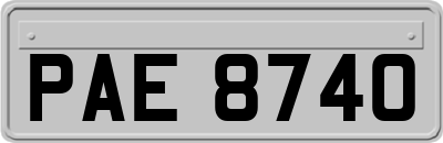 PAE8740