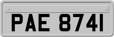 PAE8741