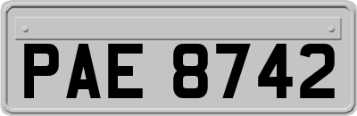 PAE8742