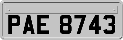 PAE8743