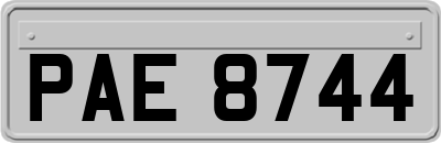PAE8744