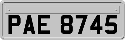 PAE8745