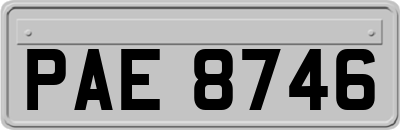 PAE8746