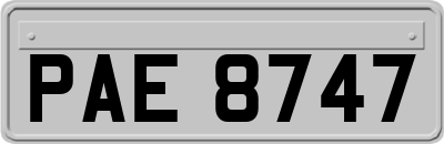 PAE8747