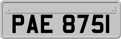 PAE8751