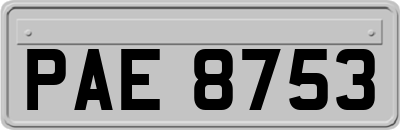 PAE8753