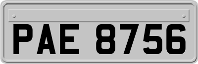 PAE8756
