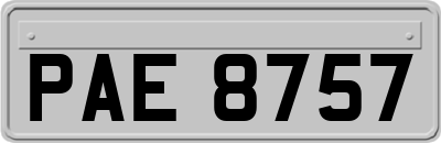 PAE8757