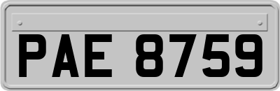 PAE8759