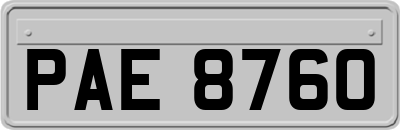 PAE8760