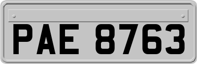 PAE8763